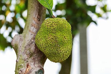 前CIG员工谈《星际公民》进展：高层更关心办公室设计